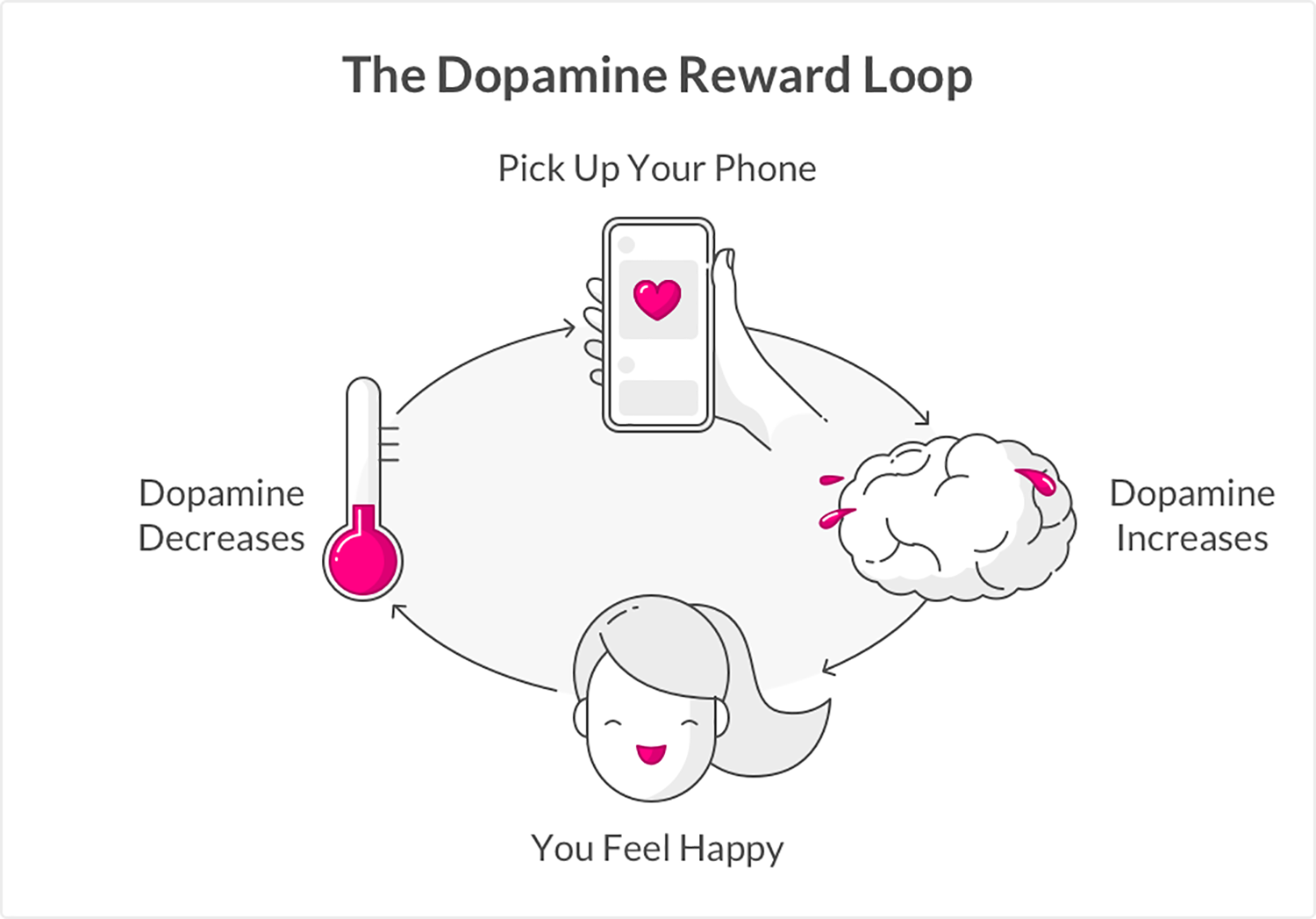 dopamine loop