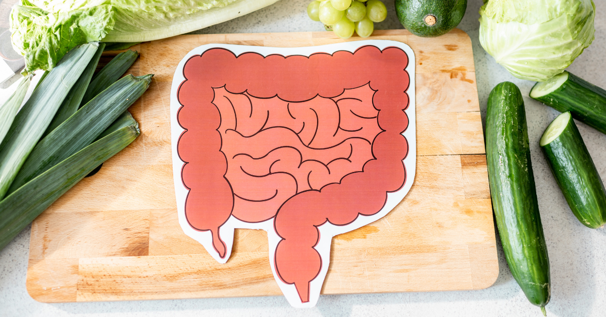 The Connection Between Your Gut Health and Your Mind