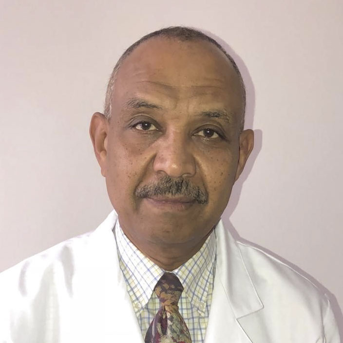 Abdulhafiz Amin Mohamed Ahmed
